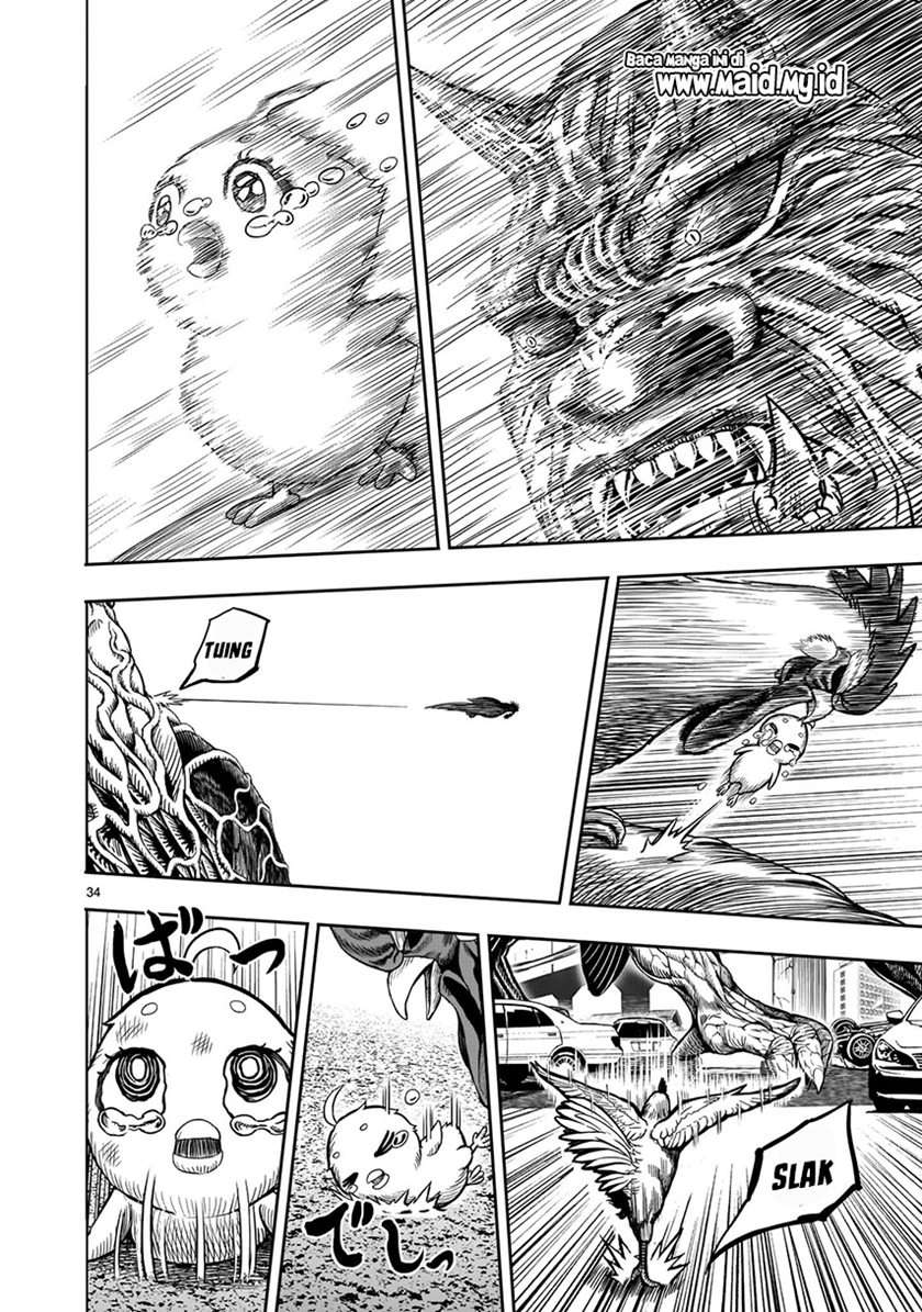 rooster-fighter - Chapter: 5