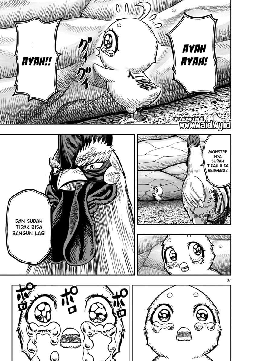 rooster-fighter - Chapter: 5