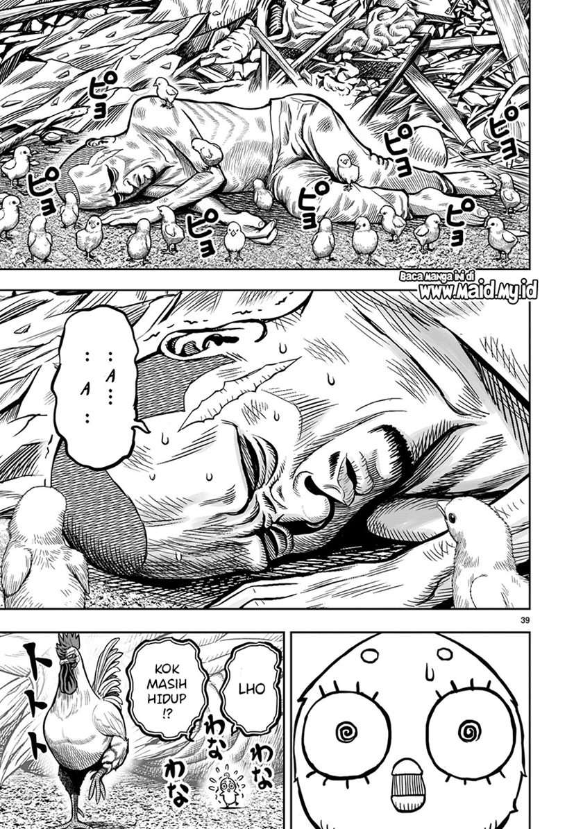 rooster-fighter - Chapter: 5