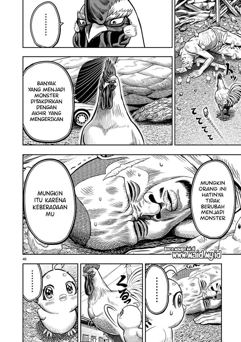 rooster-fighter - Chapter: 5