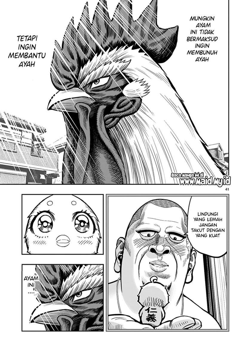 rooster-fighter - Chapter: 5