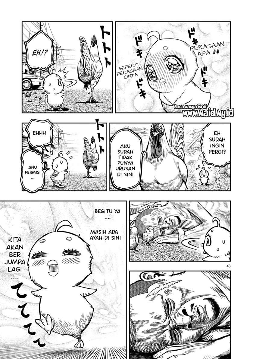 rooster-fighter - Chapter: 5