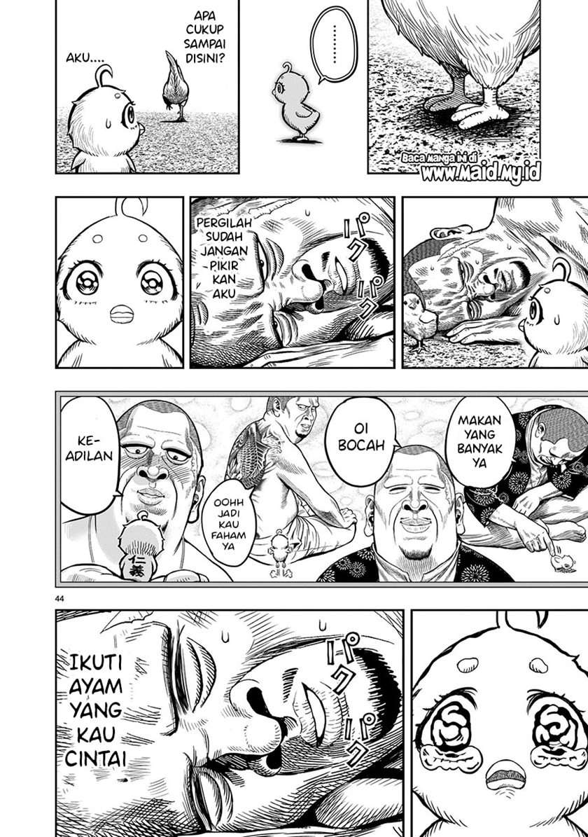 rooster-fighter - Chapter: 5
