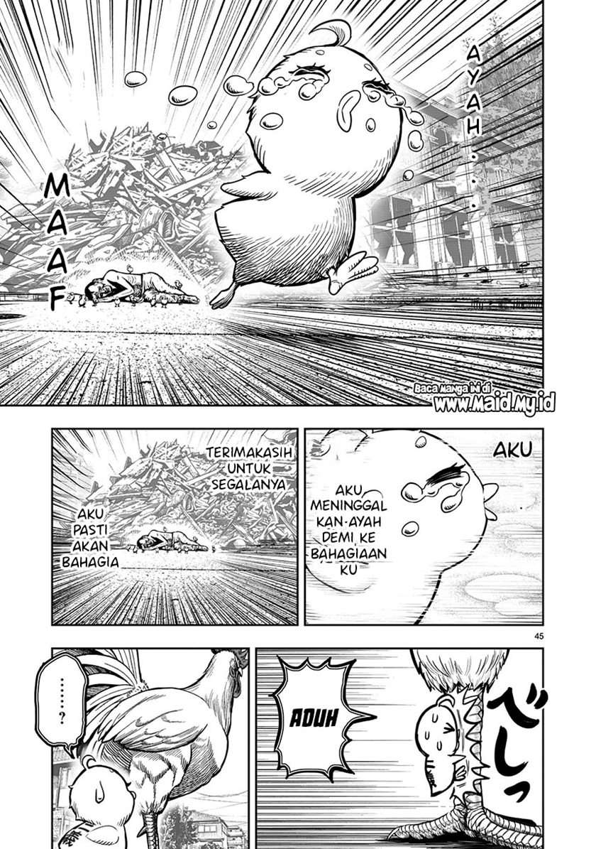 rooster-fighter - Chapter: 5