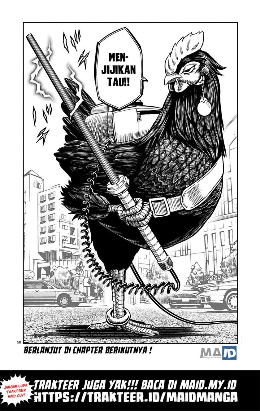 rooster-fighter - Chapter: 5