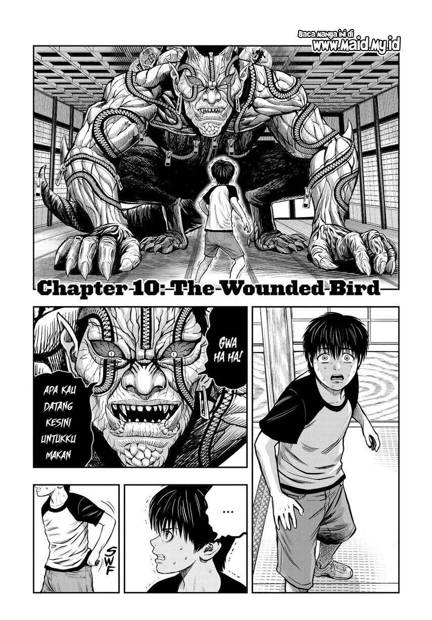 rooster-fighter - Chapter: 10