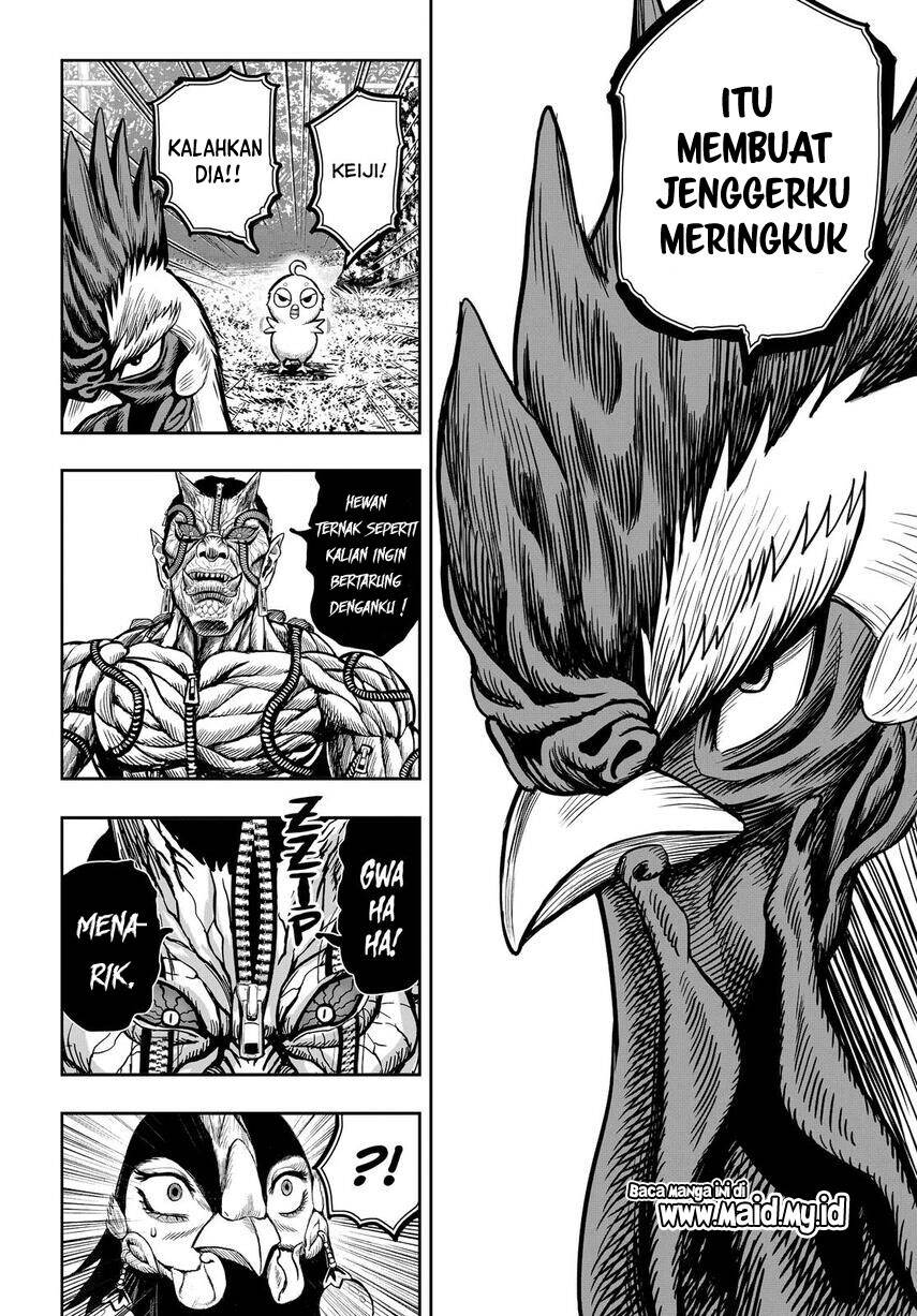 rooster-fighter - Chapter: 10