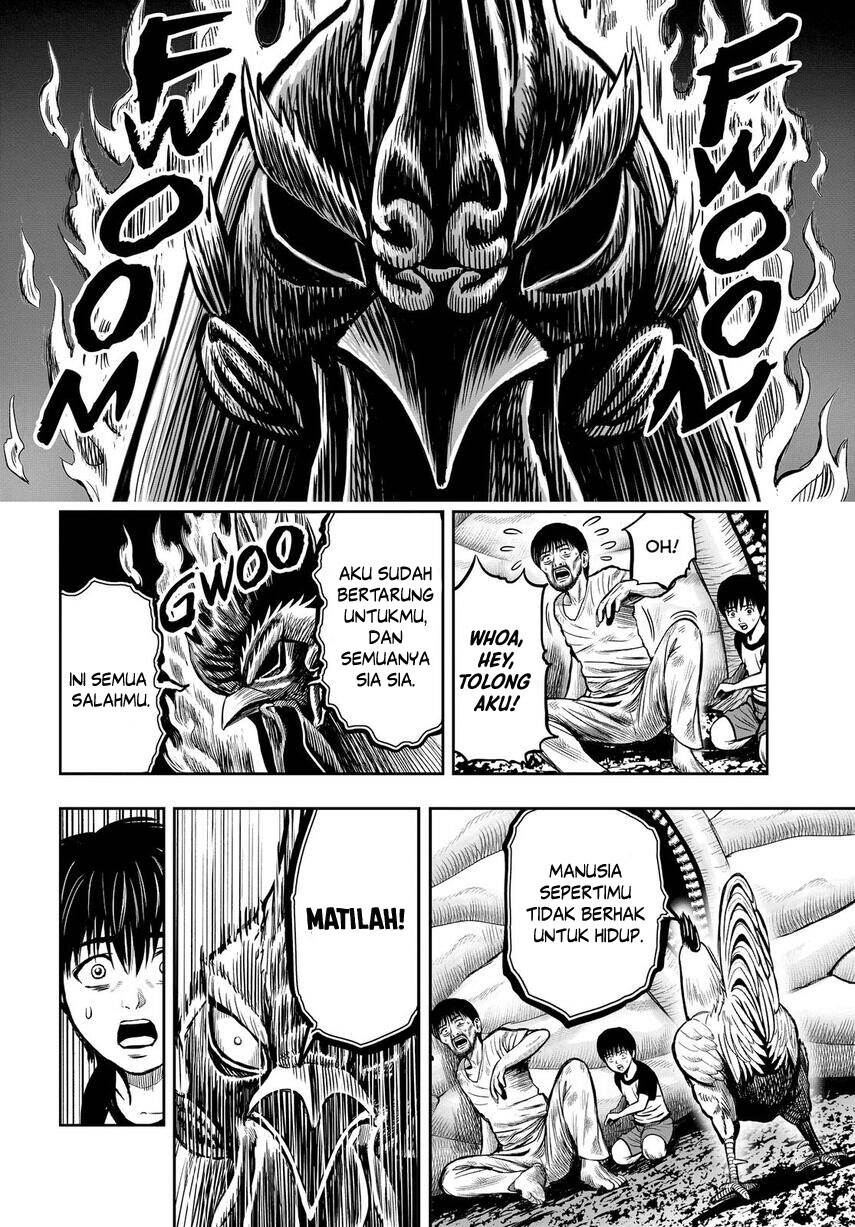 rooster-fighter - Chapter: 10