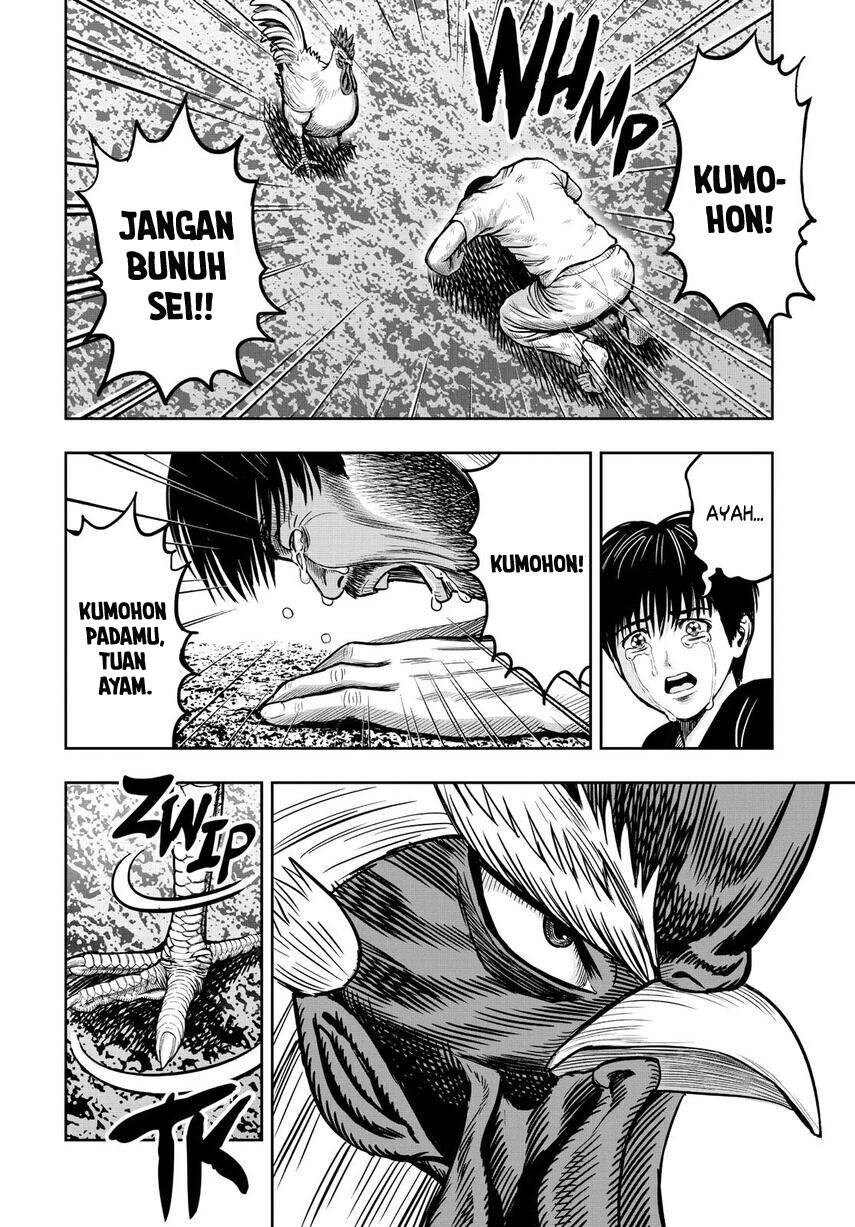 rooster-fighter - Chapter: 10