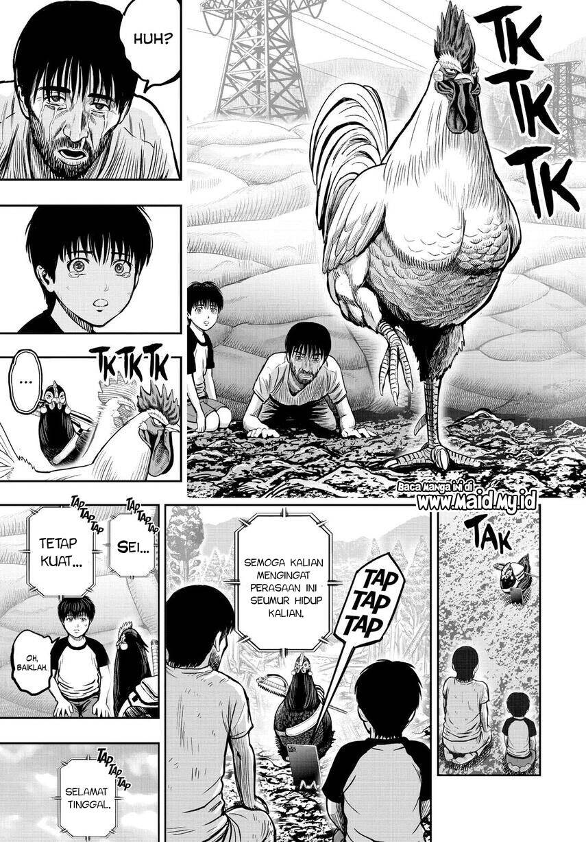 rooster-fighter - Chapter: 10