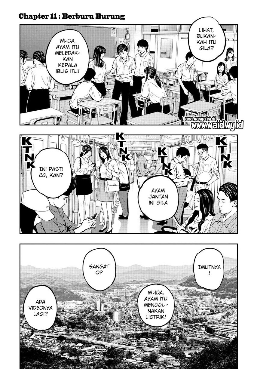 rooster-fighter - Chapter: 11