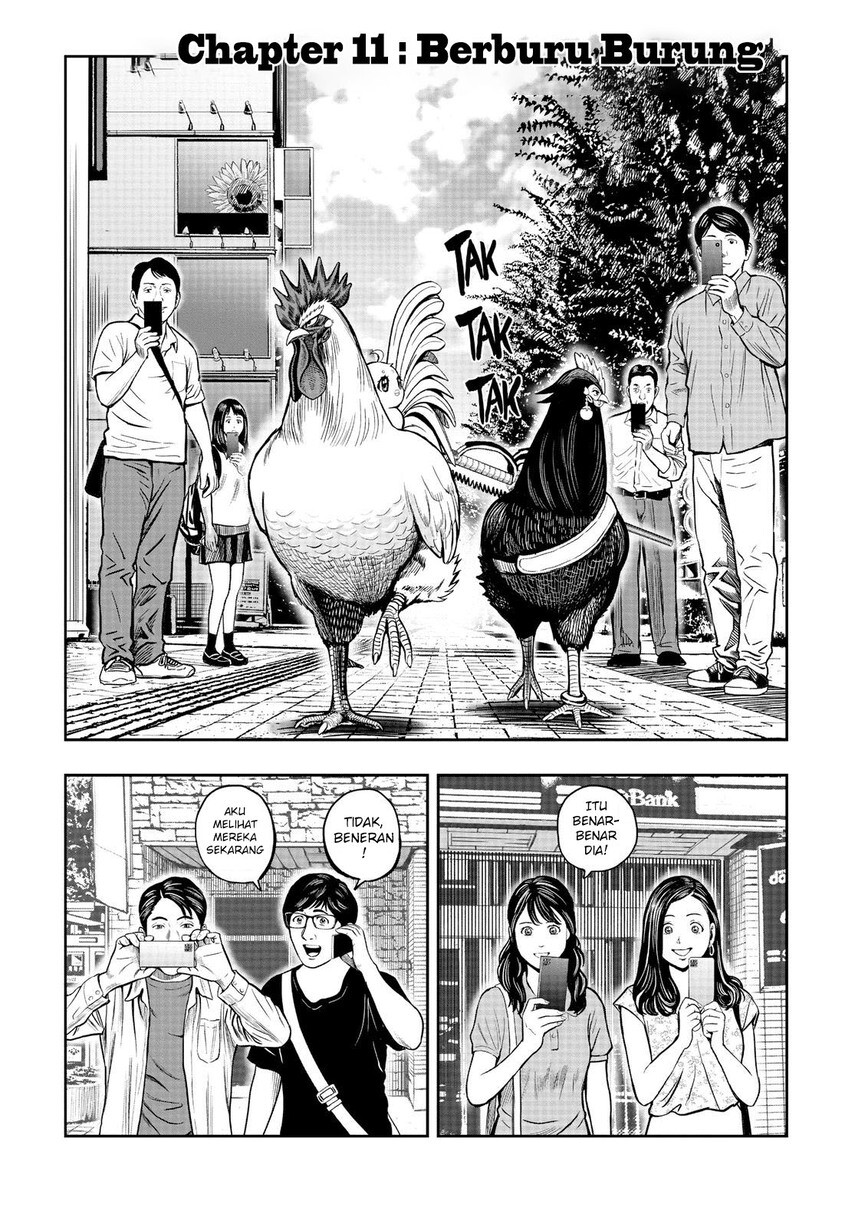 rooster-fighter - Chapter: 11