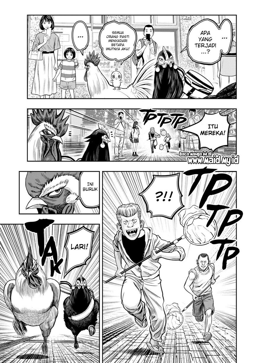 rooster-fighter - Chapter: 11
