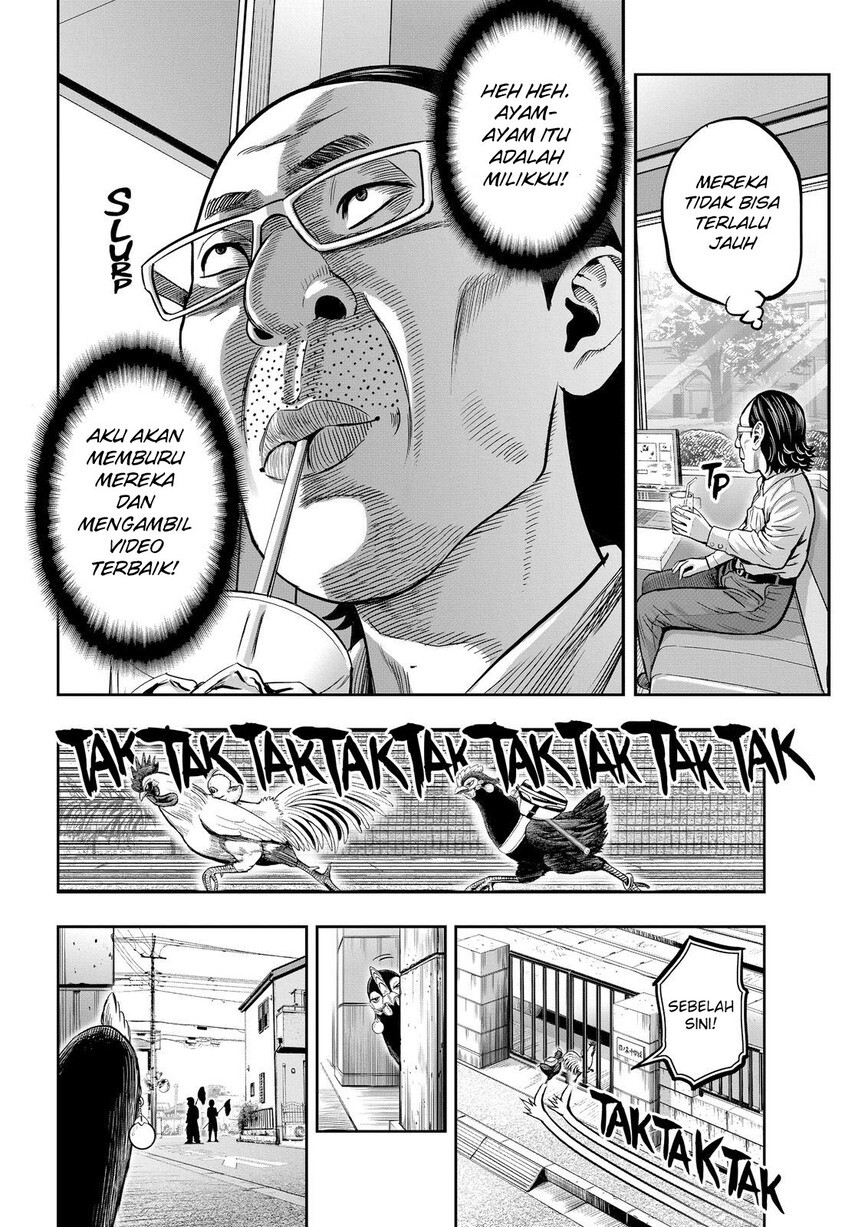 rooster-fighter - Chapter: 11