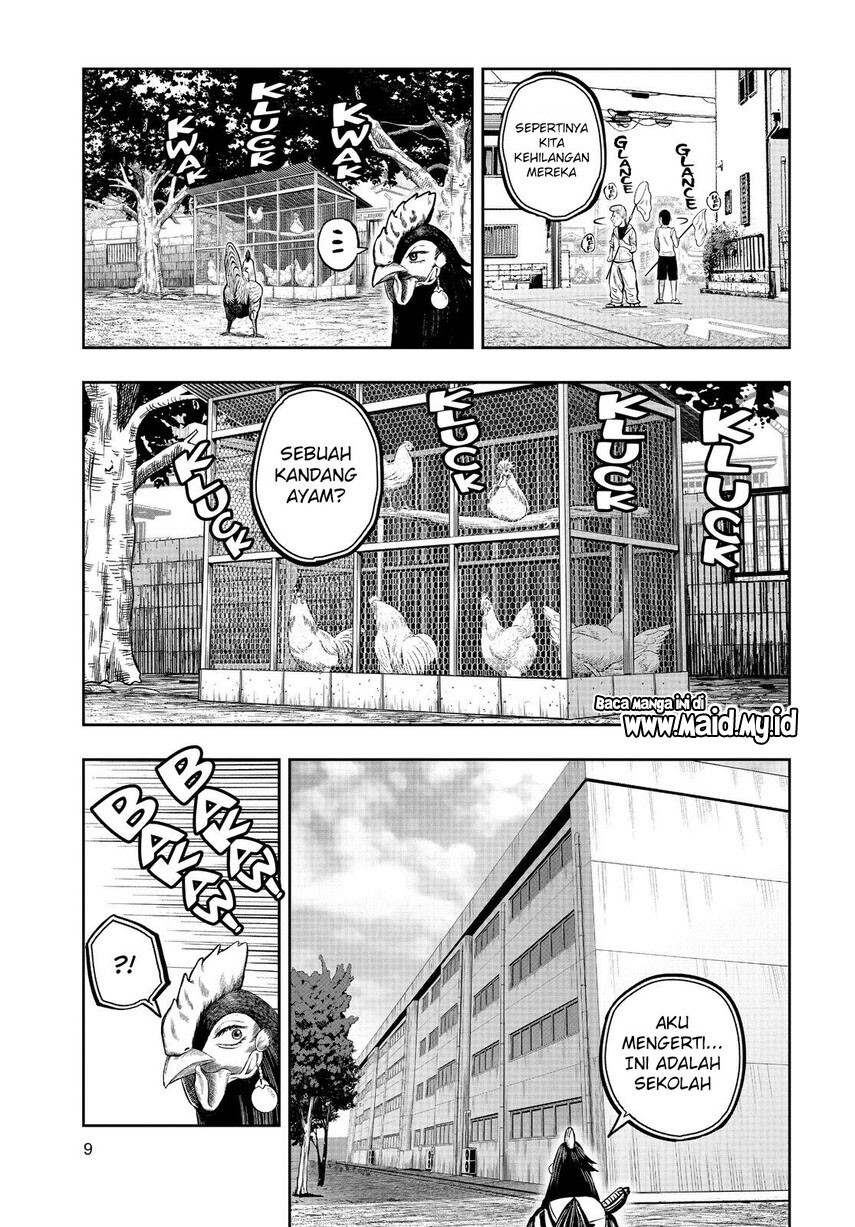 rooster-fighter - Chapter: 11