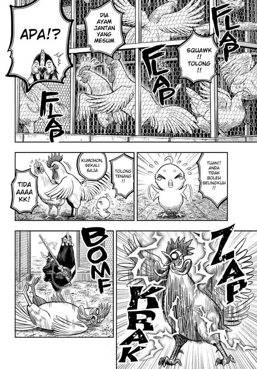 rooster-fighter - Chapter: 11