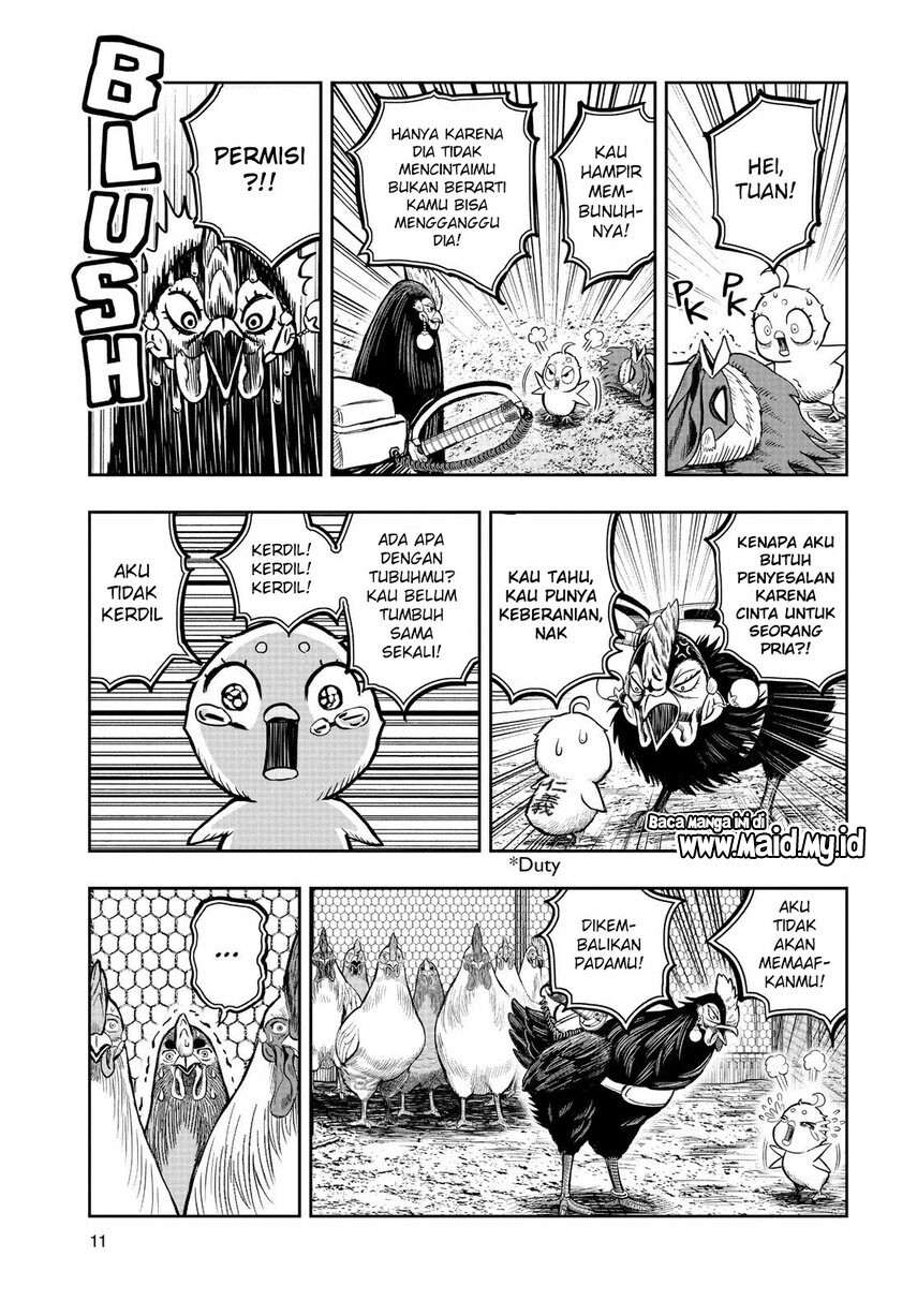 rooster-fighter - Chapter: 11