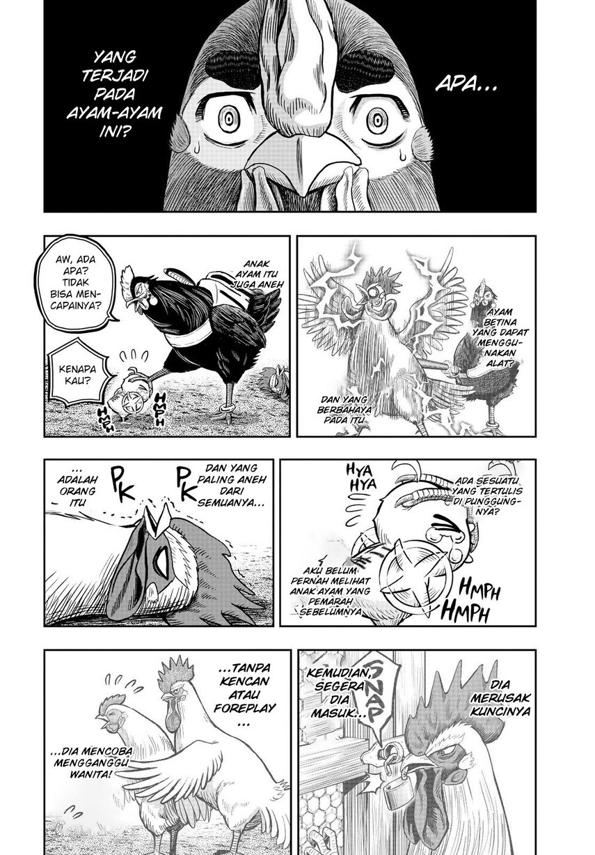 rooster-fighter - Chapter: 11