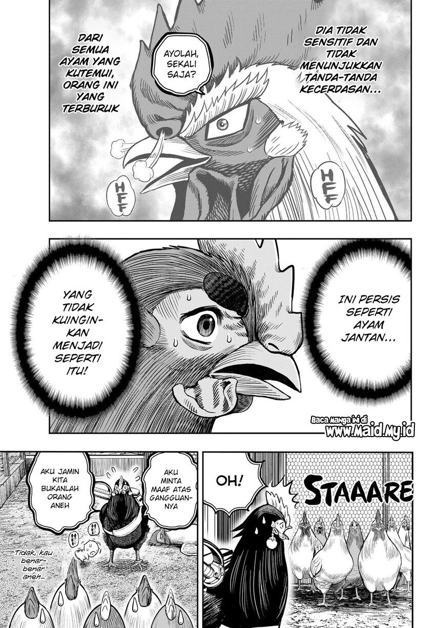 rooster-fighter - Chapter: 11