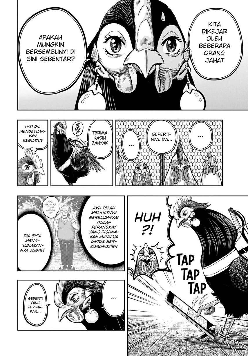 rooster-fighter - Chapter: 11