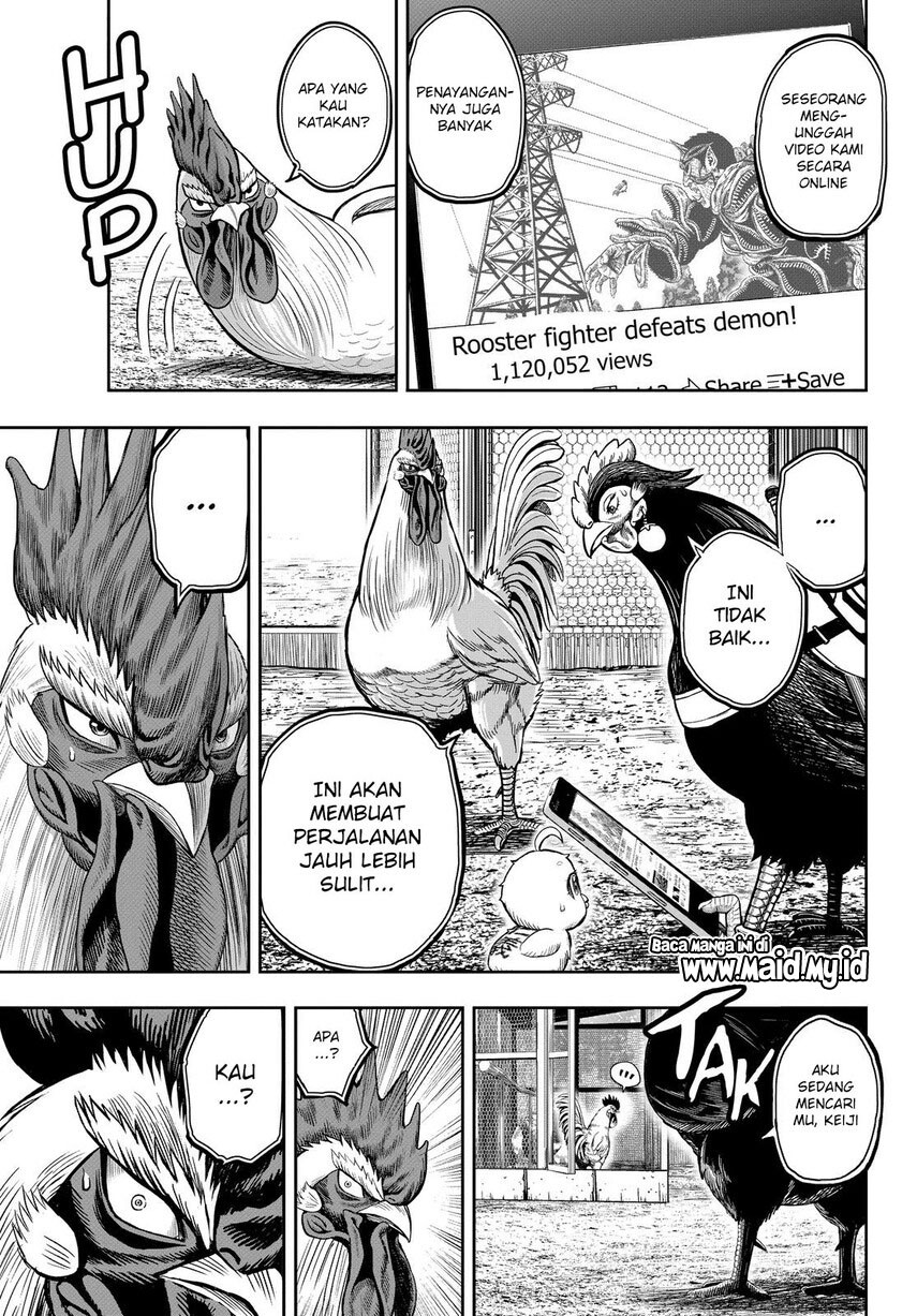 rooster-fighter - Chapter: 11