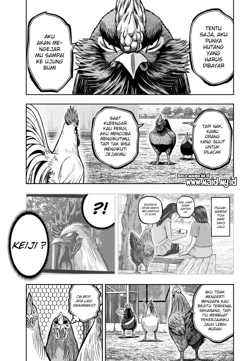 rooster-fighter - Chapter: 11
