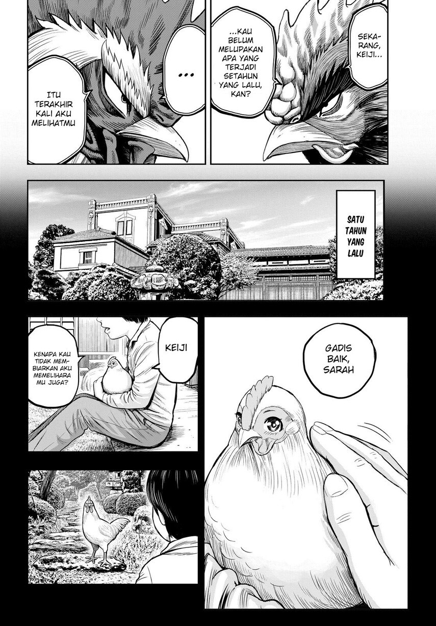 rooster-fighter - Chapter: 11