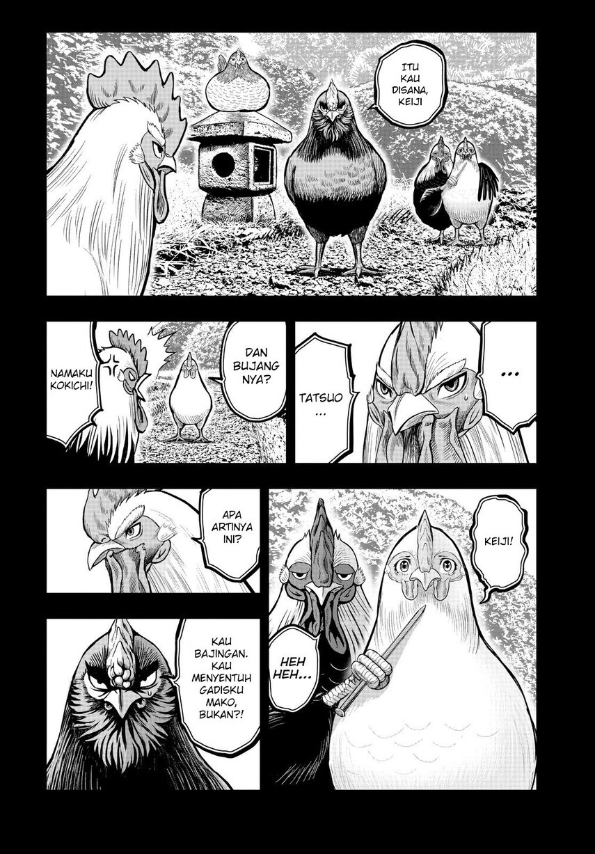 rooster-fighter - Chapter: 11