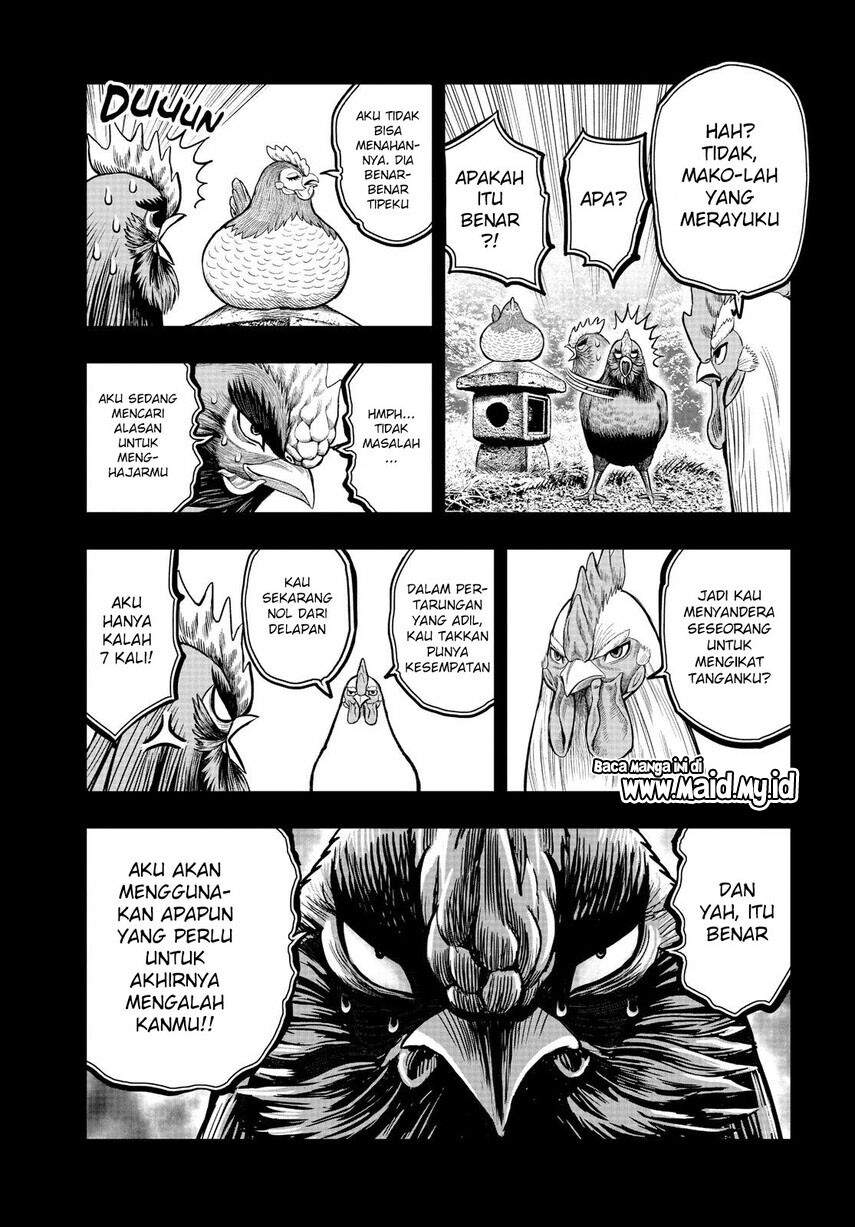 rooster-fighter - Chapter: 11