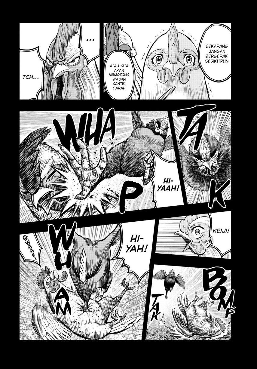 rooster-fighter - Chapter: 11