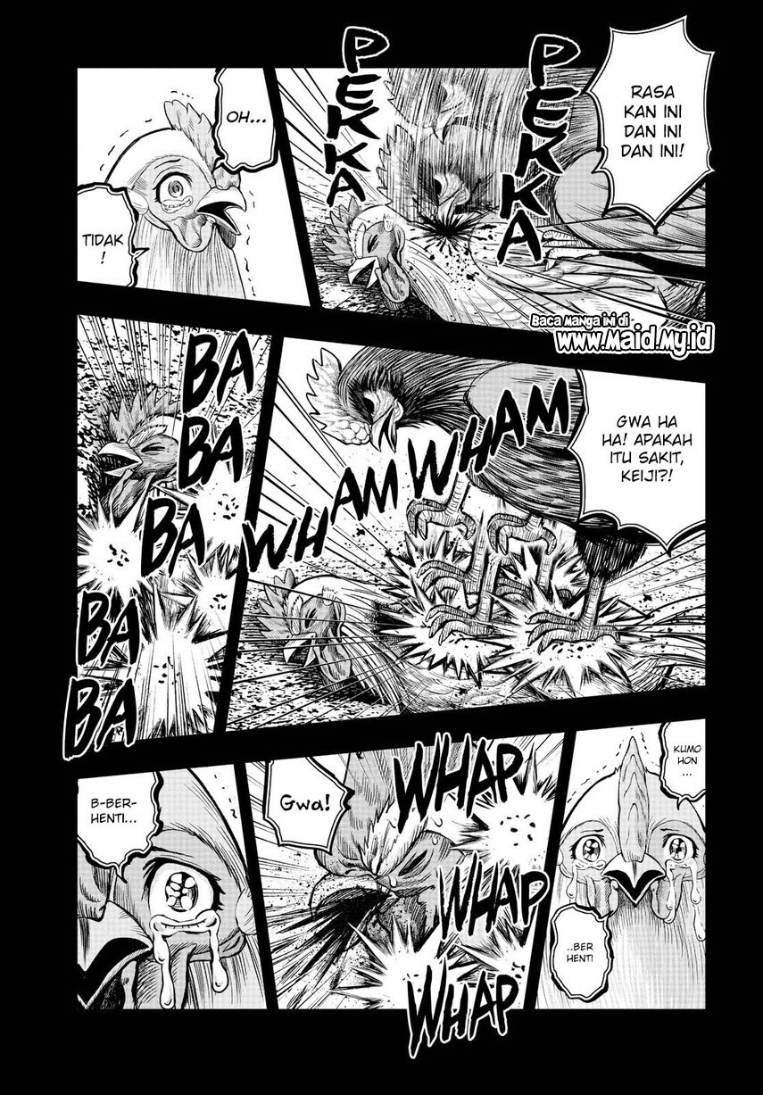 rooster-fighter - Chapter: 11