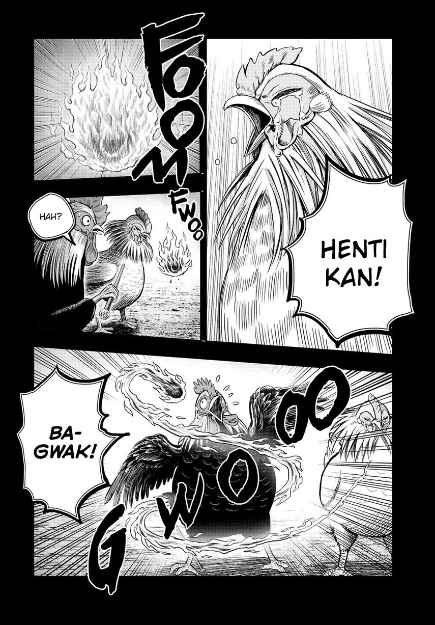 rooster-fighter - Chapter: 11