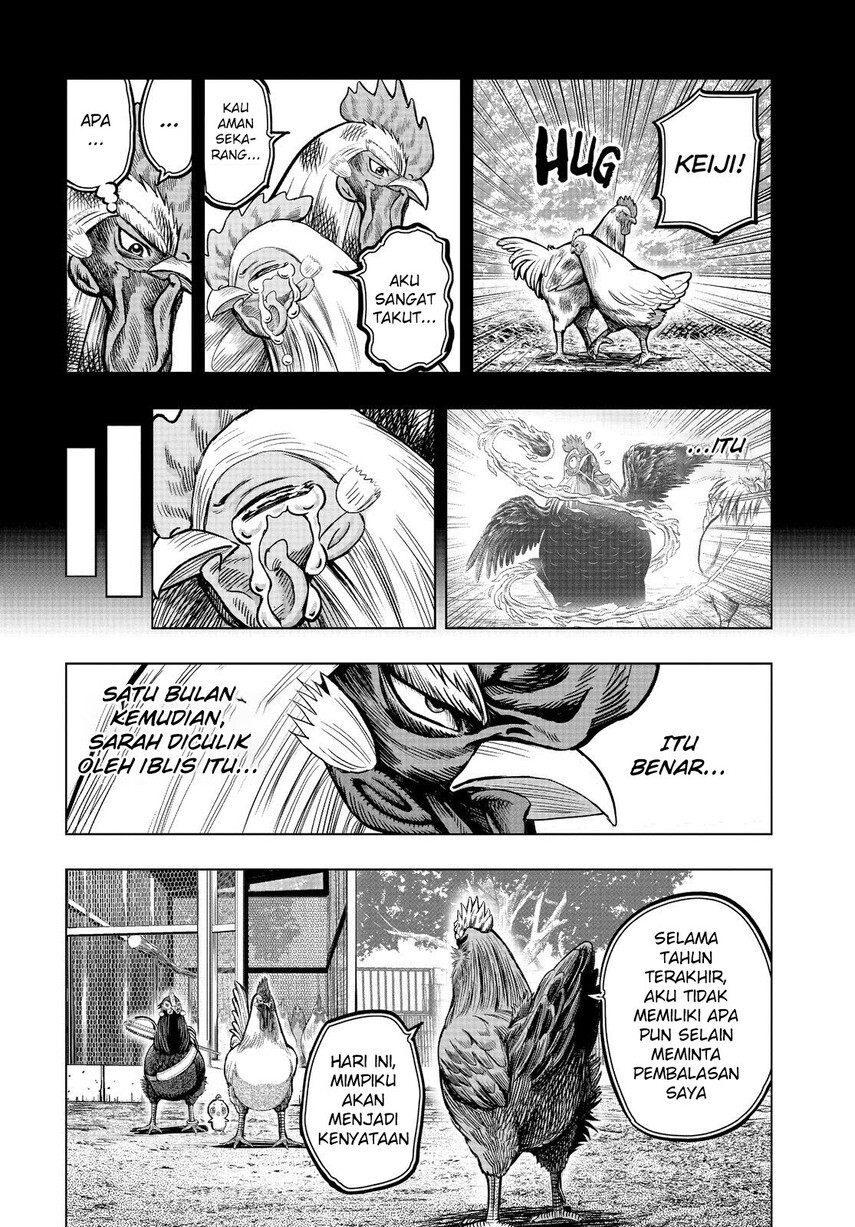 rooster-fighter - Chapter: 11