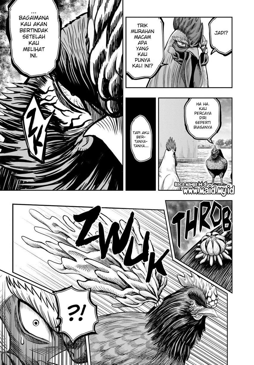 rooster-fighter - Chapter: 11