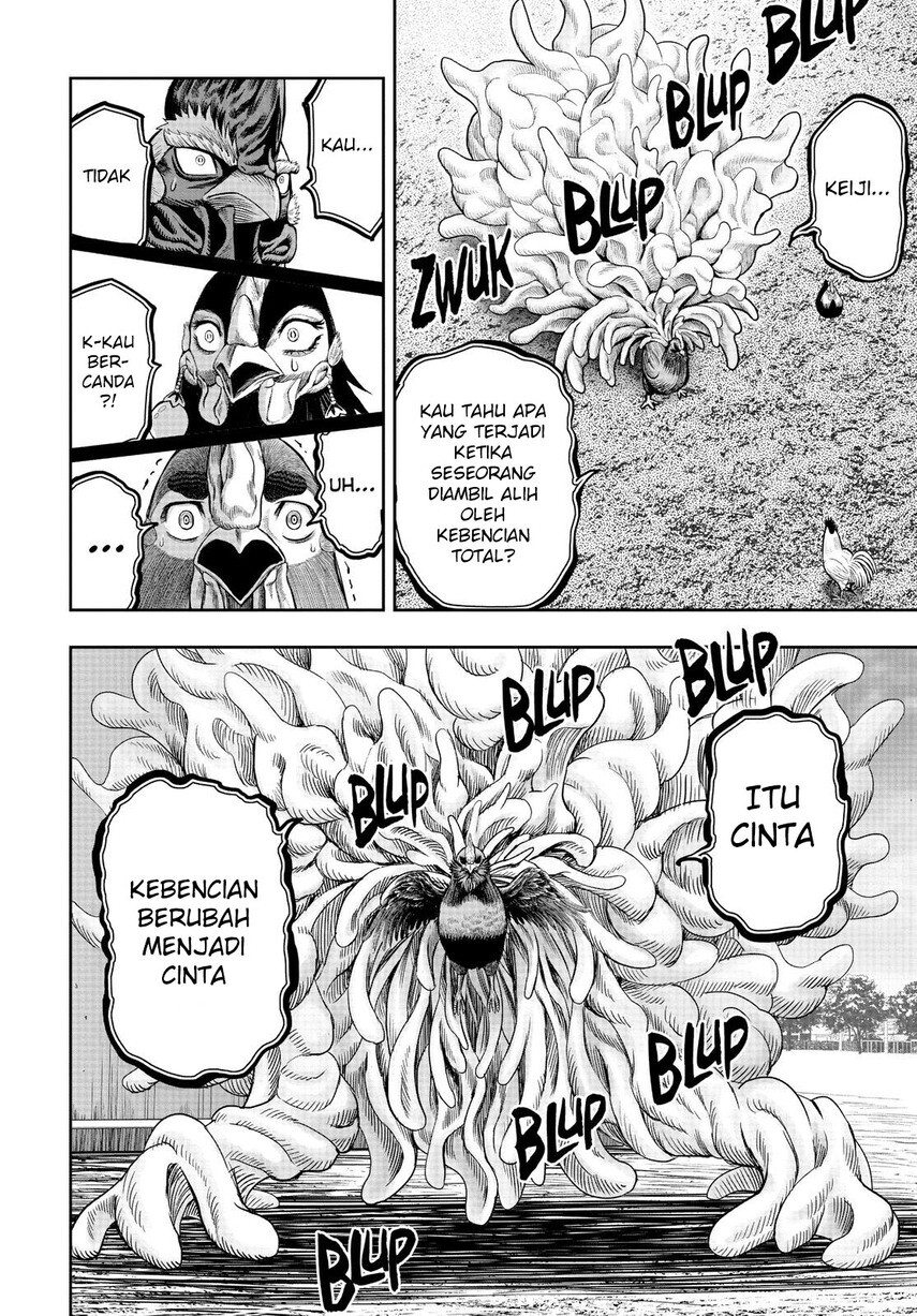 rooster-fighter - Chapter: 11