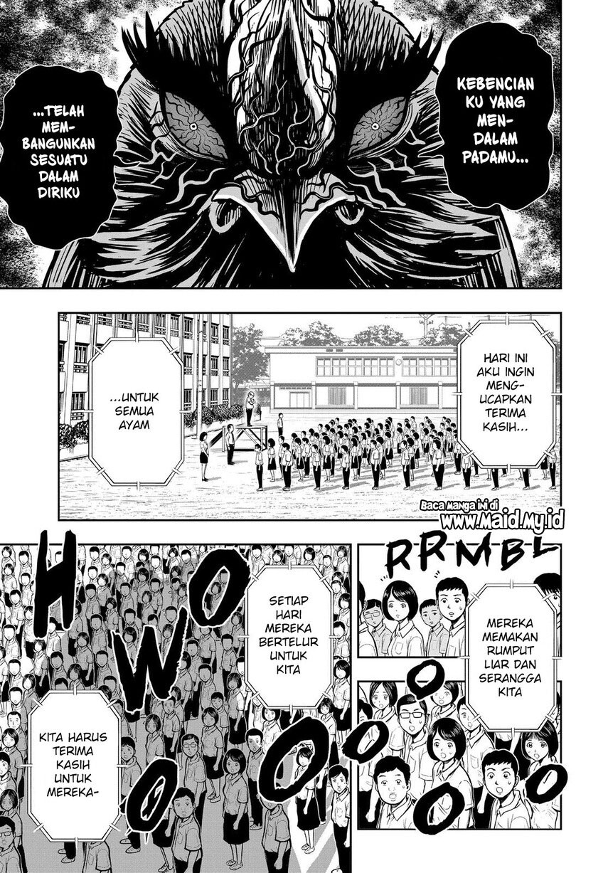 rooster-fighter - Chapter: 11