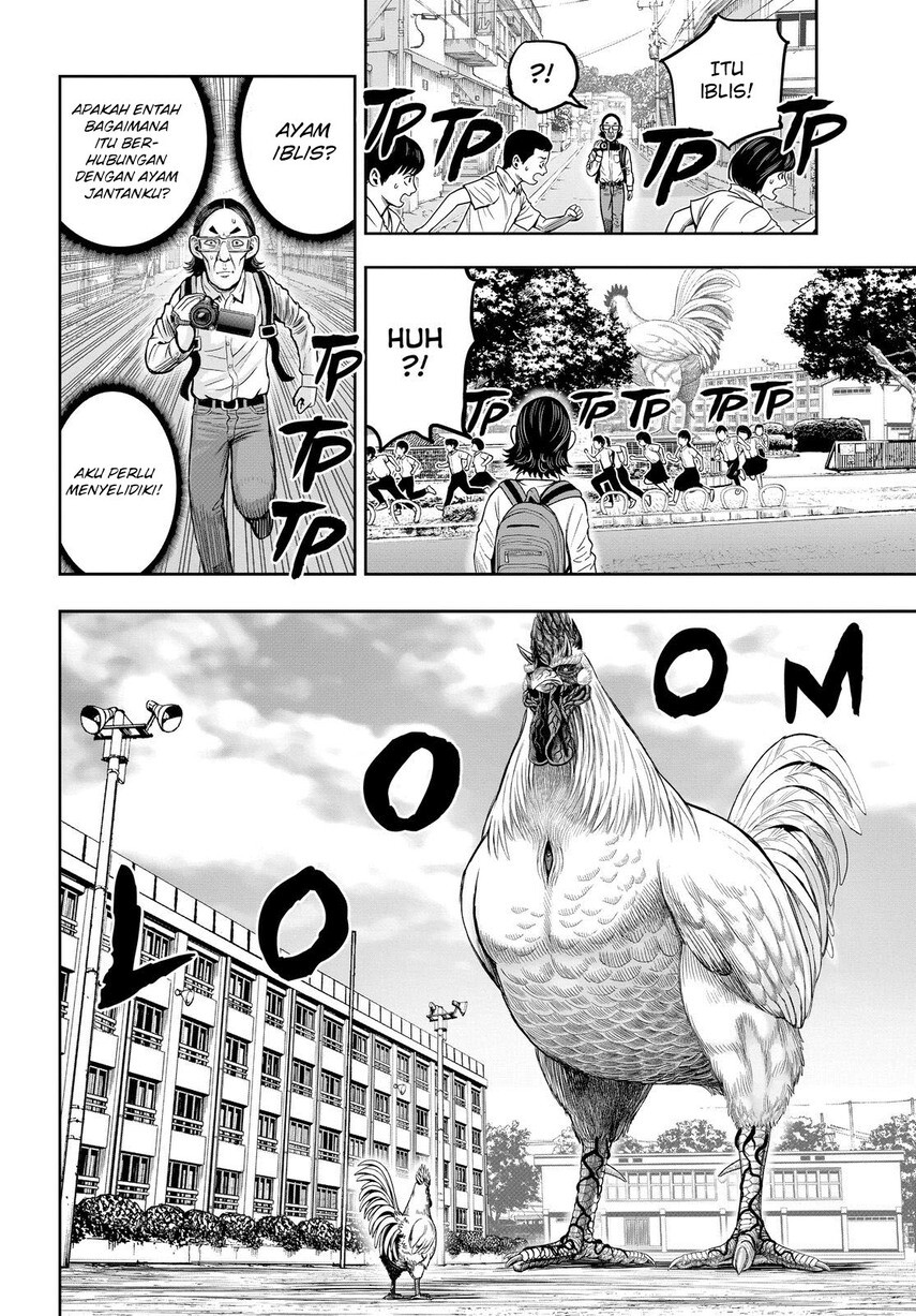 rooster-fighter - Chapter: 11