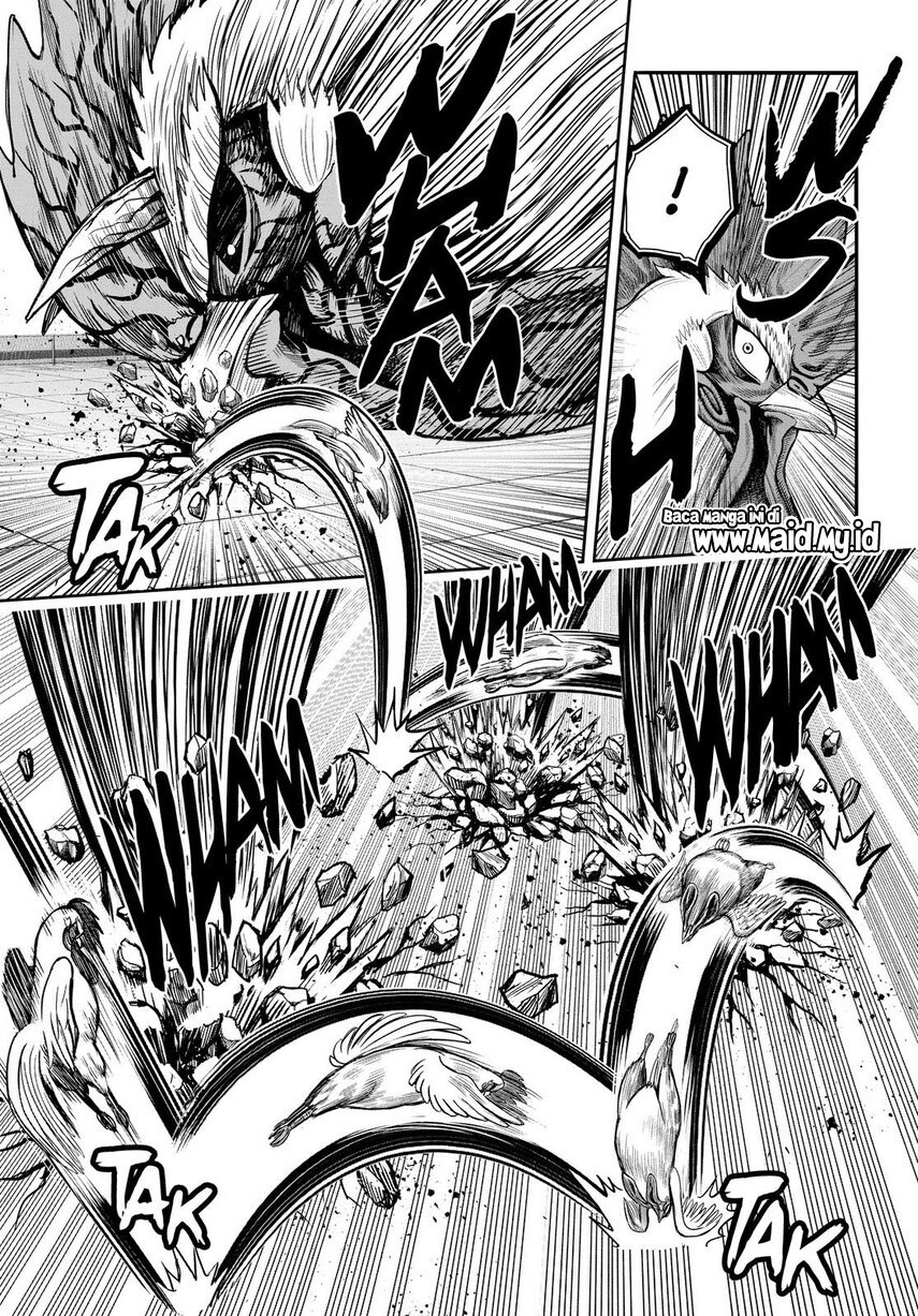 rooster-fighter - Chapter: 11