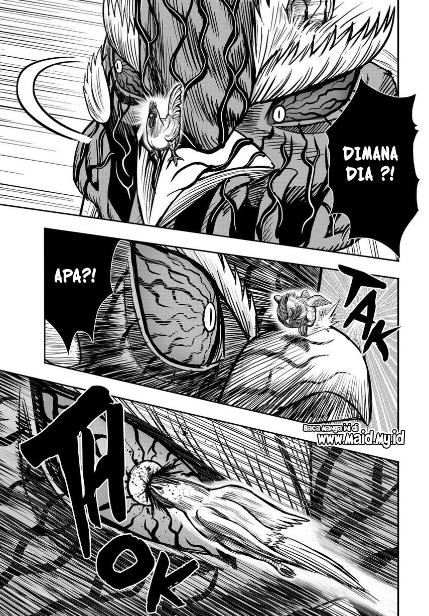 rooster-fighter - Chapter: 11