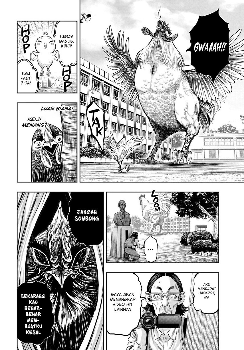 rooster-fighter - Chapter: 11