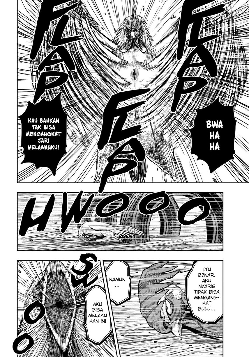 rooster-fighter - Chapter: 11
