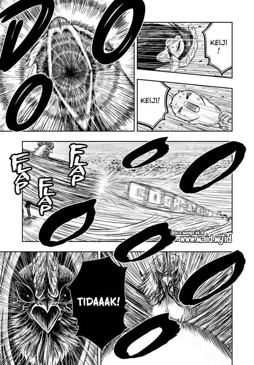 rooster-fighter - Chapter: 11