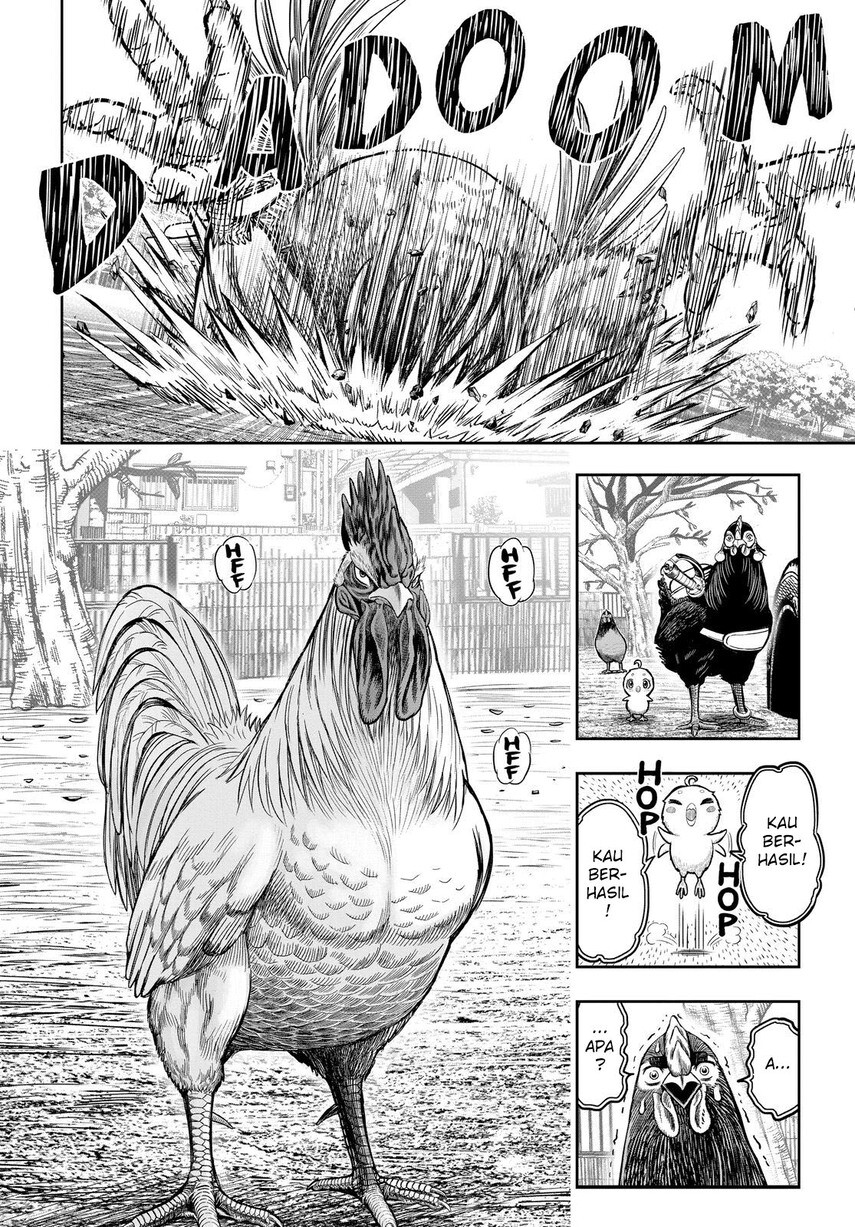 rooster-fighter - Chapter: 11