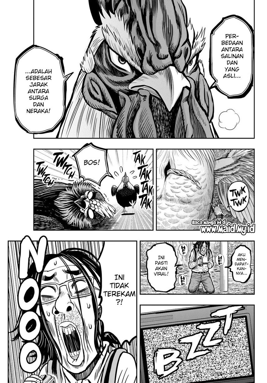rooster-fighter - Chapter: 11