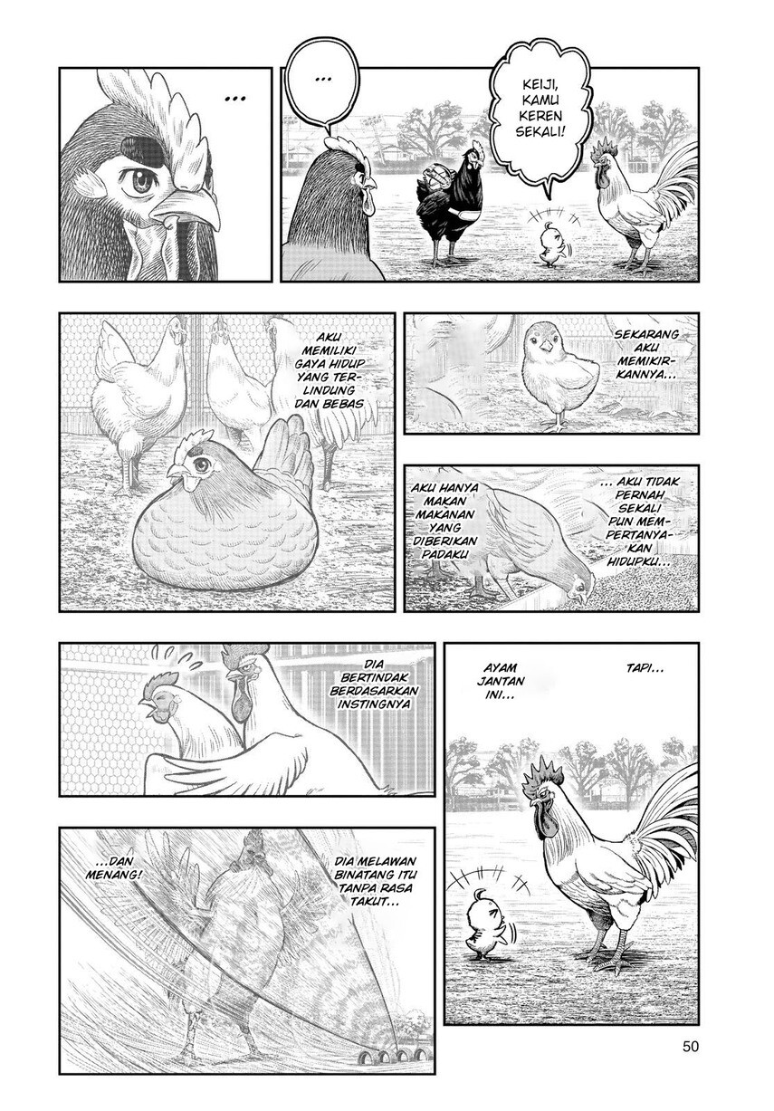 rooster-fighter - Chapter: 11