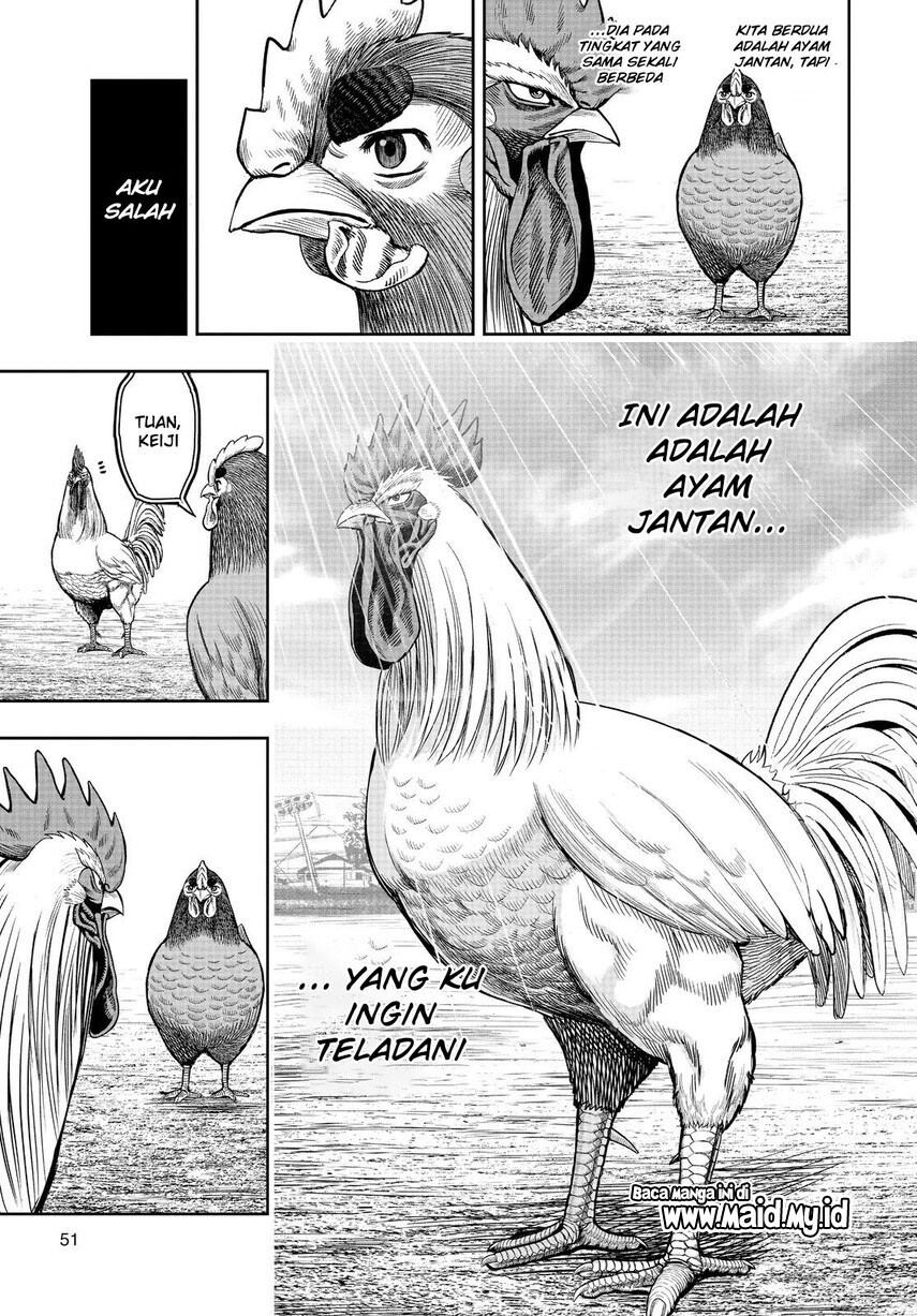 rooster-fighter - Chapter: 11