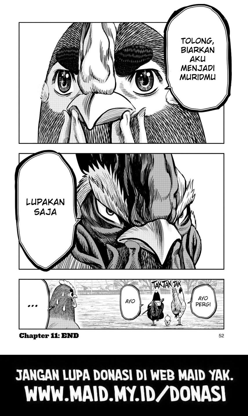 rooster-fighter - Chapter: 11