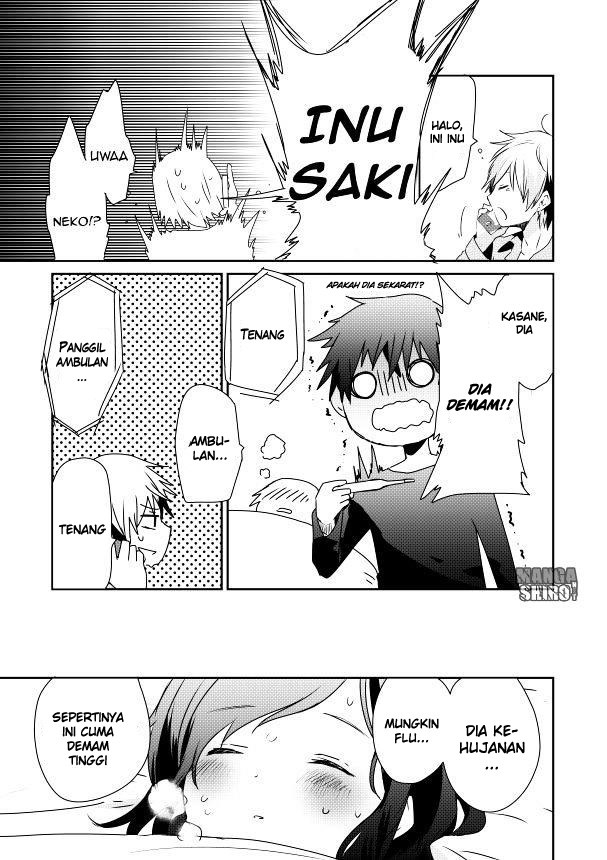 koneko-hiroimashita - Chapter: 3