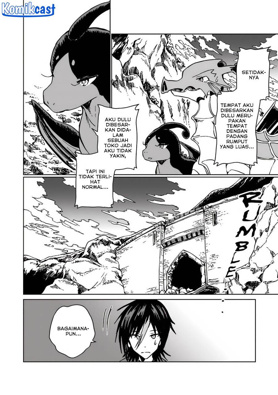 s-kyuu-guild-wo-tsuihou-saretakedo-jitsu-wa-ore-dake-dragon-no-kotoba-ga-wakaru-no-de-kidzuita-toki-ni-wa-ryuu-kishi-no-chouten-wo-kiwametemashita - Chapter: 20