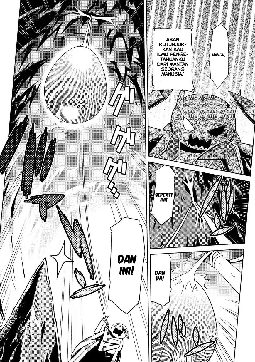 kumo-desu-ga-nani-ka - Chapter: 03